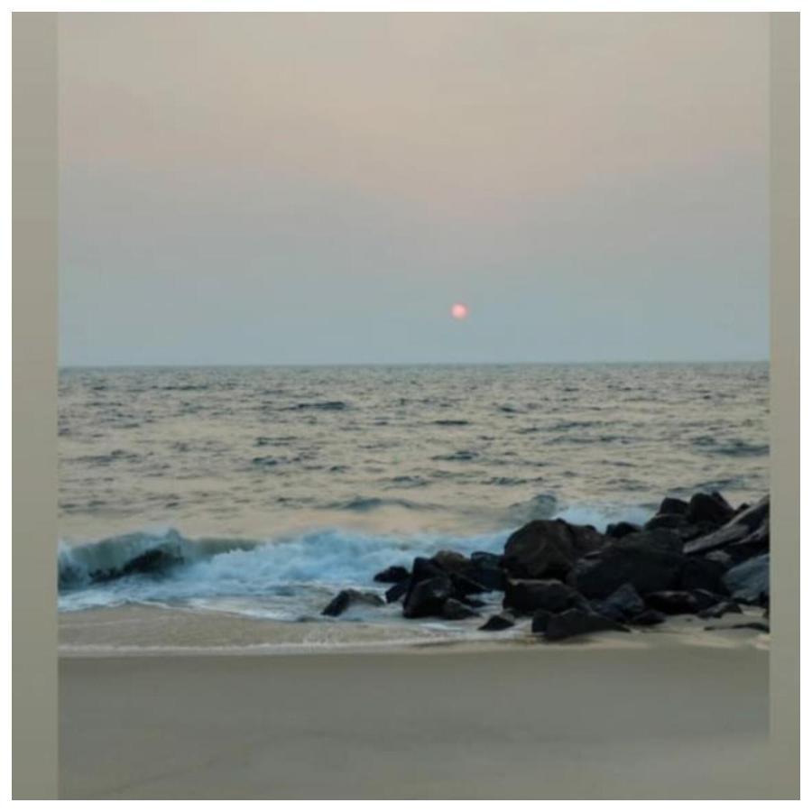 Marari Sibiya Beach Villa Mararikulam Bagian luar foto