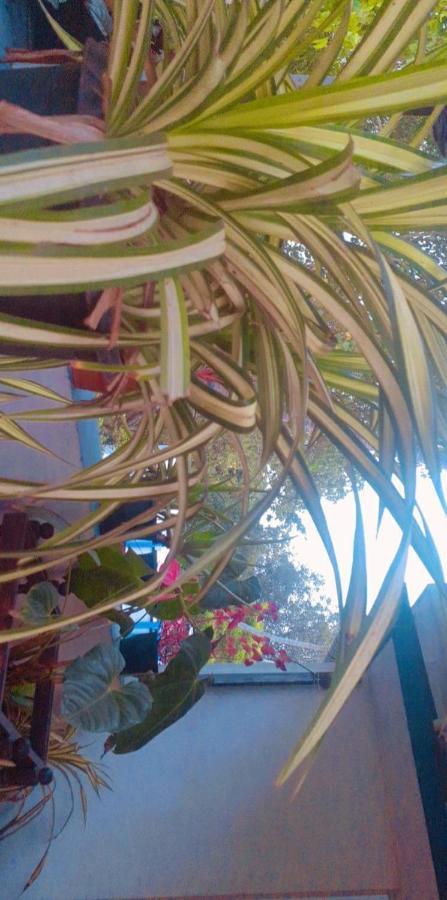 Marari Sibiya Beach Villa Mararikulam Bagian luar foto