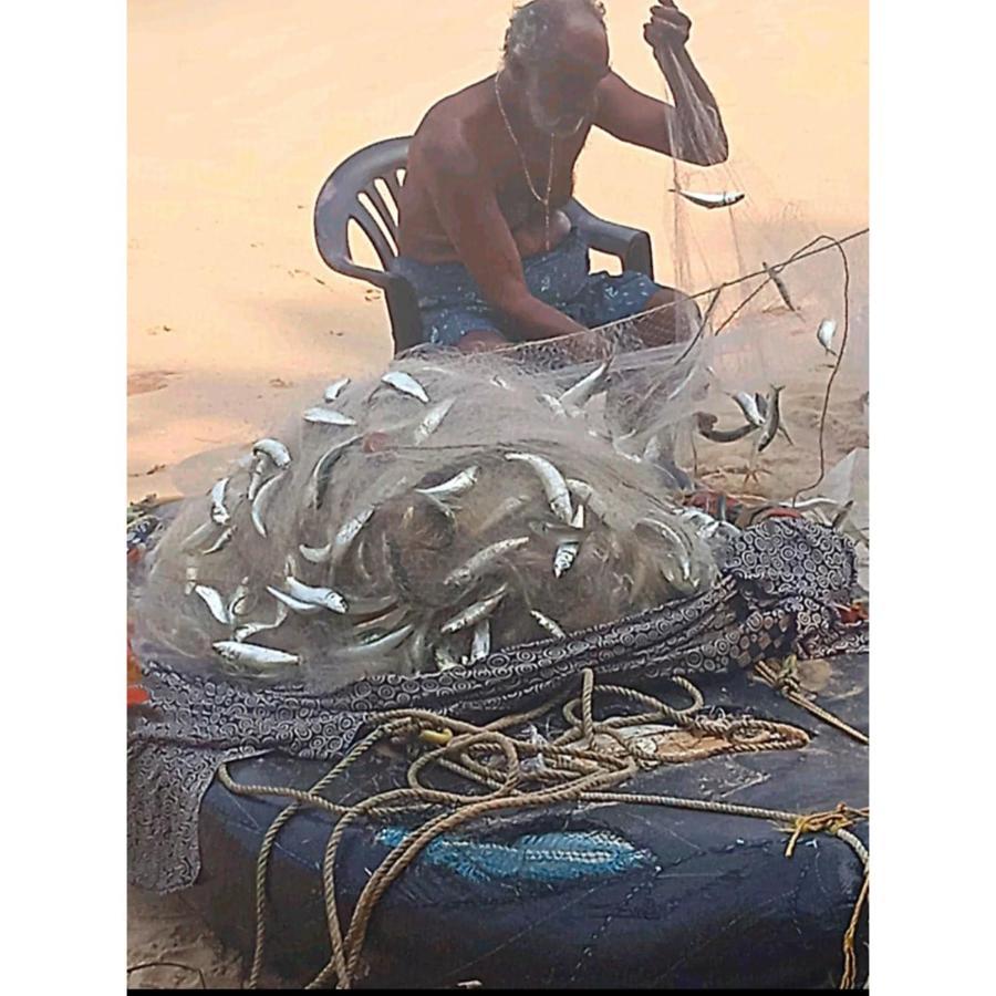 Marari Sibiya Beach Villa Mararikulam Bagian luar foto